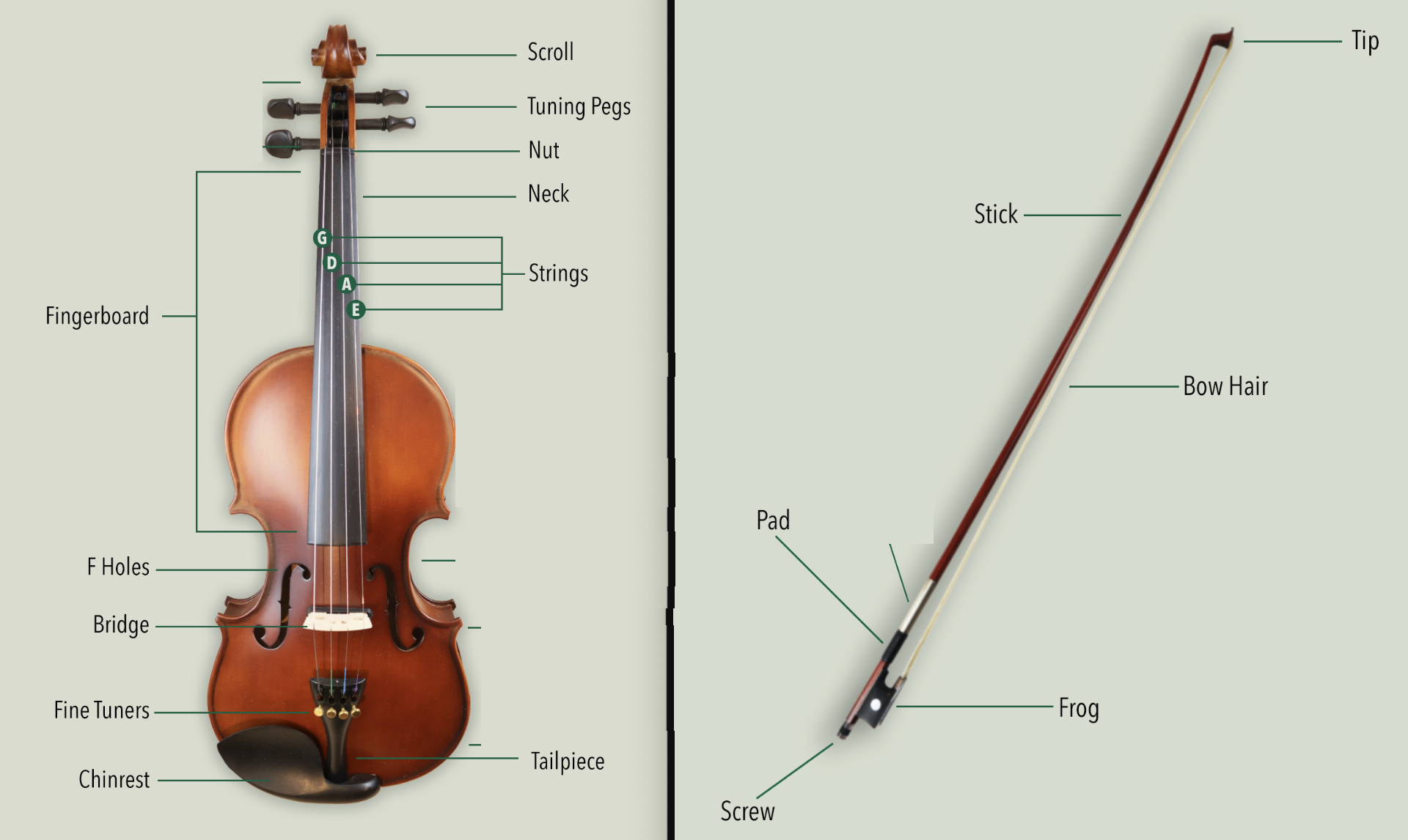 Diagram showing the parts of a violin and bow